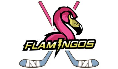 Flocking Flamingos